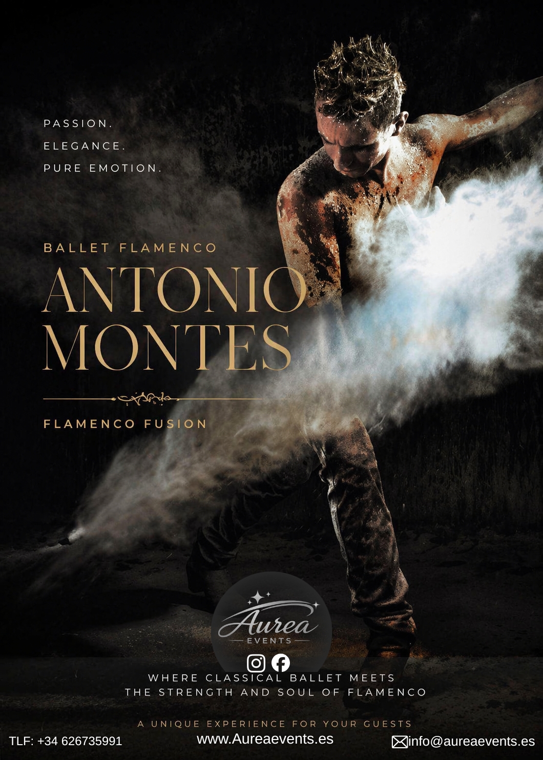 Cartel de Ballet Flamenco Antonio Montes